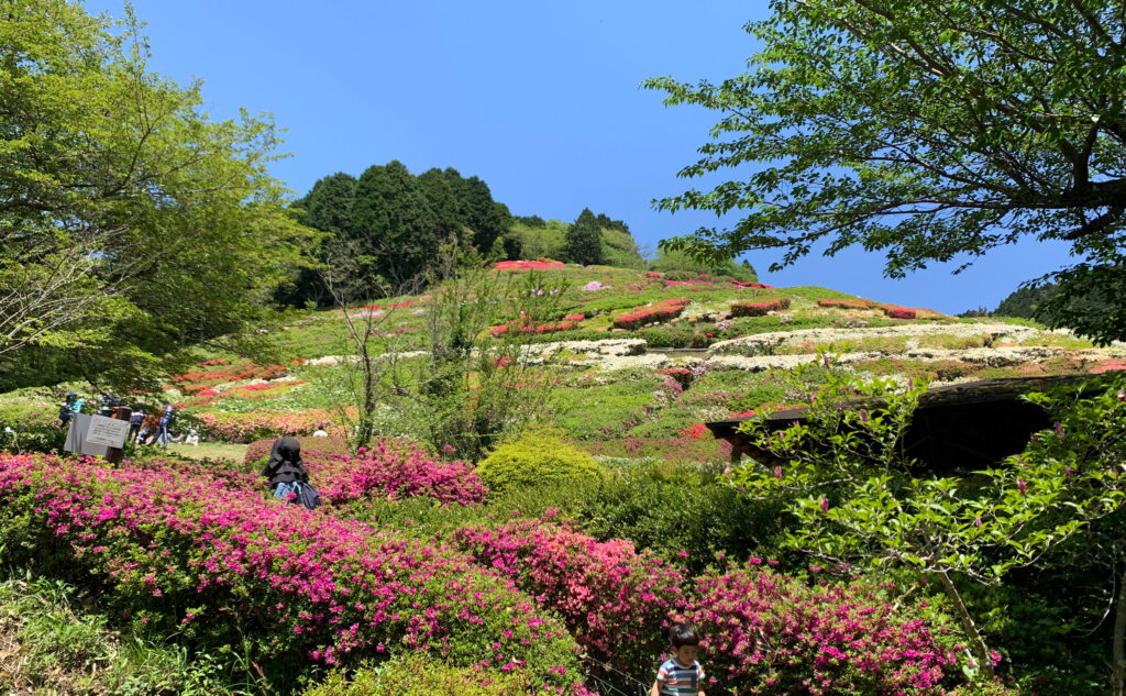 姫の沢公園