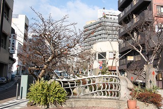 0104atamizakura2.jpg