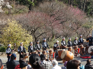 0109ume2.jpg