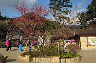 0210-1.jpg