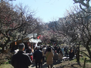 0210-2_20130212073736.jpg