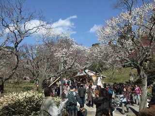 0210-3.jpg