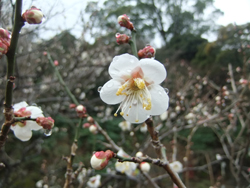 0220baigou.jpg