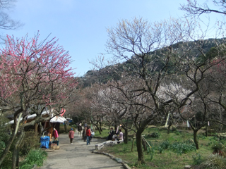 0326-3.jpg