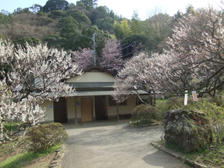 0326-4.jpg