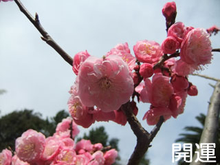 0326kaiun.jpg