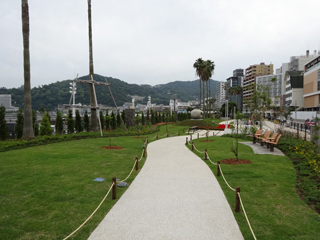 0601jakaranda2_20130603084925.jpg