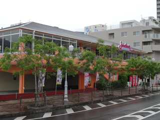 0621jakaranda05.jpg