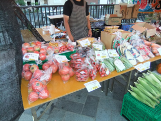 0825touhoku02.jpg