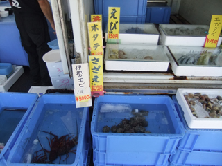 1013osakana3.jpg