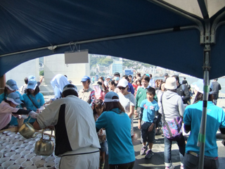 1013osakana4.jpg