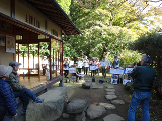 1122momiji1_20141124082139349.jpg