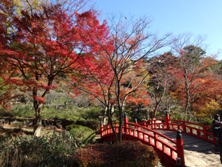 1203momiji4_2014120408164841e.jpg