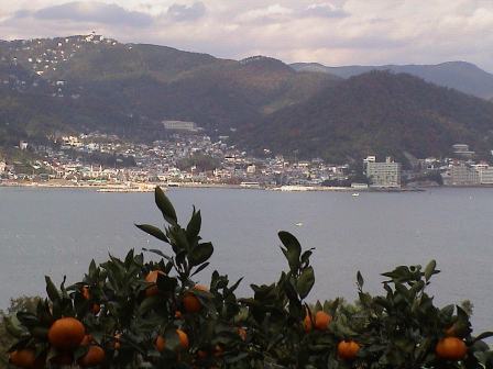 20101022_1194703_20121113081305.jpg