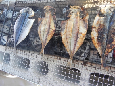20110915_2043231_20130111074621.jpg