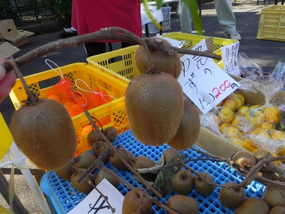 20121110_2514089.jpg