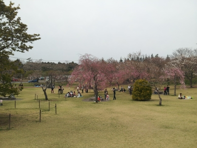 20130330_159304.jpg
