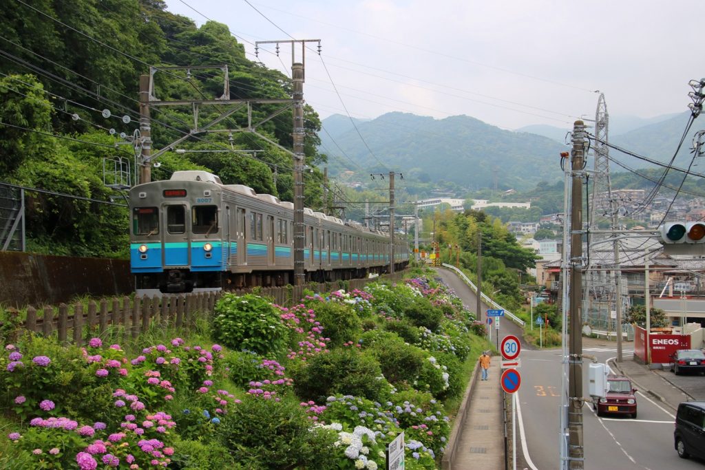 20cfce153c6dcbd30dc35695758066ae-2-1024x683.jpg