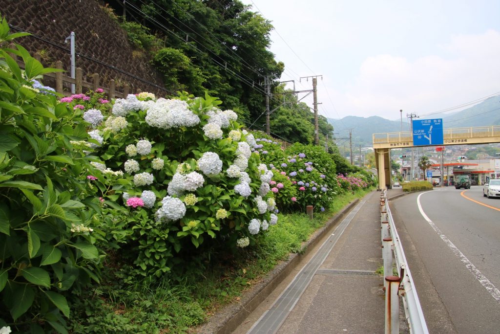 49ef72b19c9b2addea8db508ca9b00b7-3-1024x683.jpg