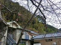 CIMG0230-s.jpg