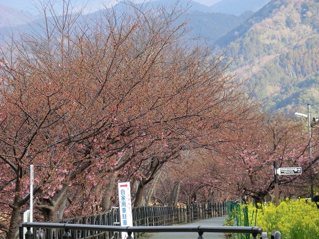 CIMG0477.jpg