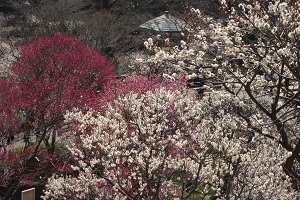 IMG_3194.jpg
