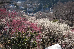 IMG_3210.jpg