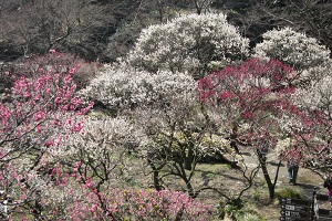 IMG_3216.jpg