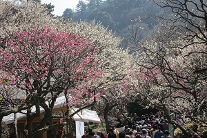 IMG_3245.jpg