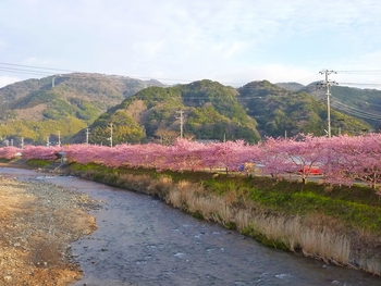 P1080529.jpg