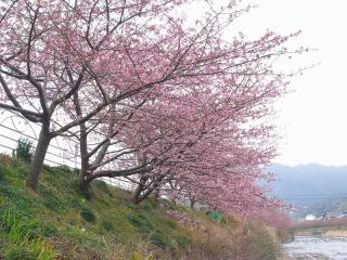 R0011180_convert_20110214072841.jpg