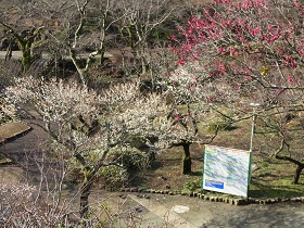 RIMG0024.jpg
