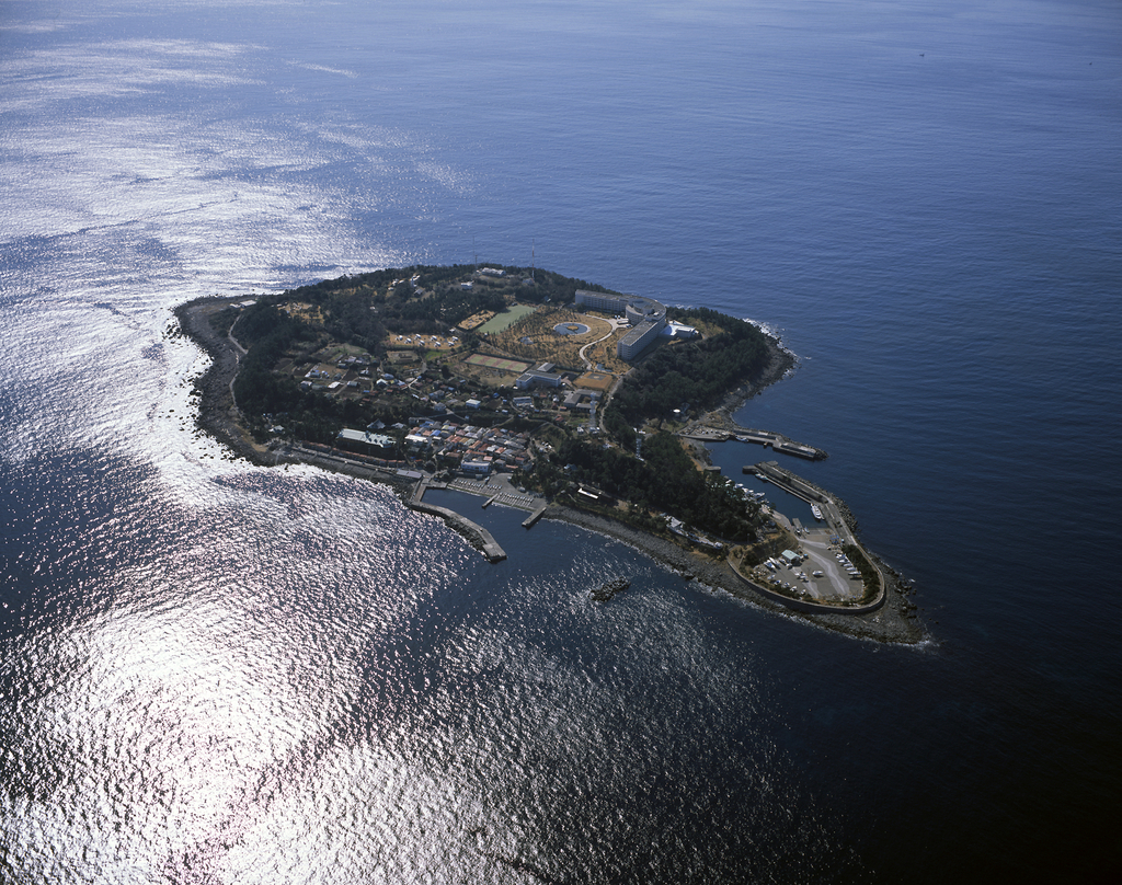 hatusima003.jpg