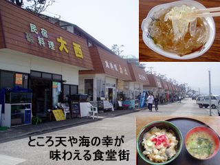 hatusima2_20120421080950.jpg