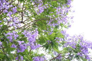 he-02_20140619075230c74.jpg