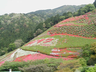 himenosawa_20140414091323ea2.jpg