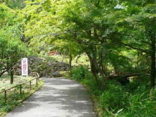 hotaru2001_20120426073426.jpg