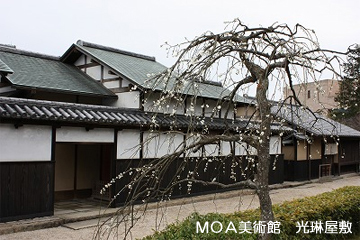 moa-kourinyasiki_2015021508012886e.jpg