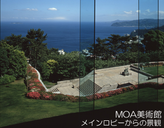 moa-robi.jpg