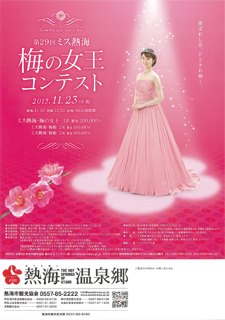 poster-29misscon.jpg
