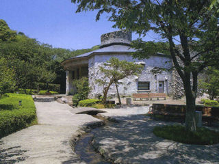 sawada1_20130530073336.jpg