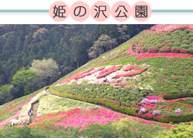 top_pic004.png