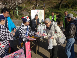 0109ume1.jpg