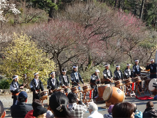 0109ume2.jpg