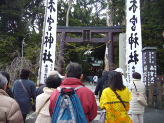 0125ume3_20140317081747b84.jpg