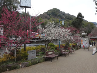 0206-1.jpg