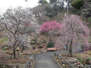 0206-3.jpg