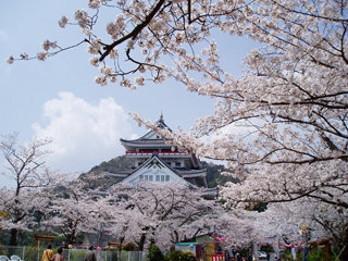 0407sakura3_20120307083322.jpg