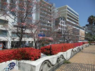 0420tutuji3.jpg