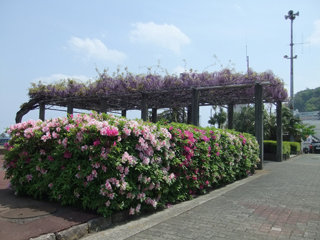 0427fuji1.jpg